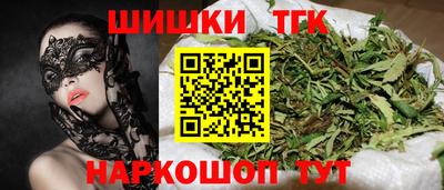 стафф Кингисепп