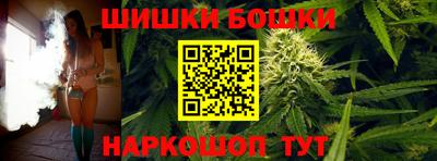 стафф Кингисепп