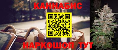 стафф Кингисепп