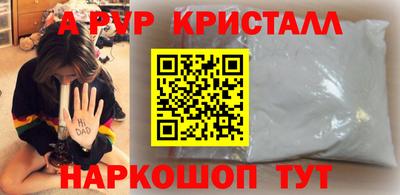 стафф Кингисепп