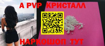 стафф Кингисепп