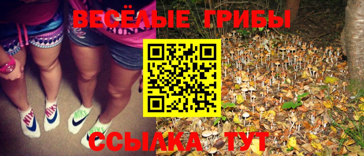 Псилоцибиновые грибы Magic Shrooms  Галлюциногенные грибы мухоморы  Кострома  Вход с VPN 